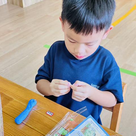 【东坡承智幼儿园】中二班第五周生活动态