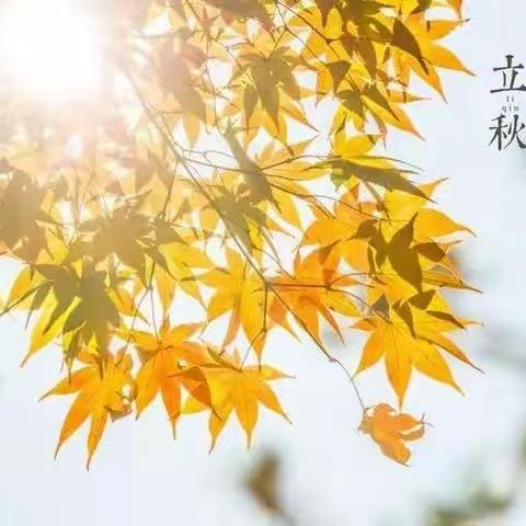 《秋风🍁来袭——果实飘香🍎》——理想礼仪幼儿园蕾一班立秋节气活动🌿