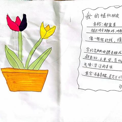 [长垣东街中心小学]落实双减，学生以绘画的形式记录植物朋友！