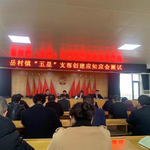 岳村镇开展2023年第一季度 “亮赛比、创五星”活动