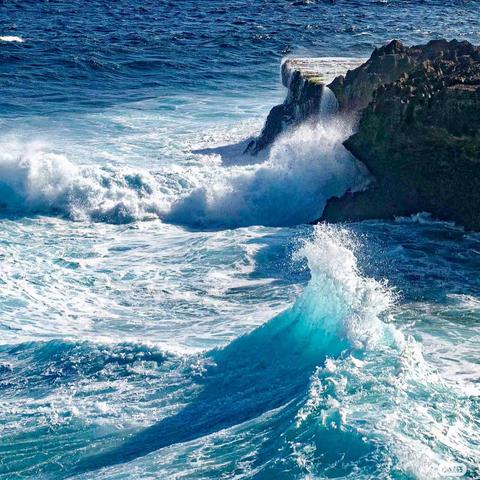 【星耀文集】 主题四：我的心愿