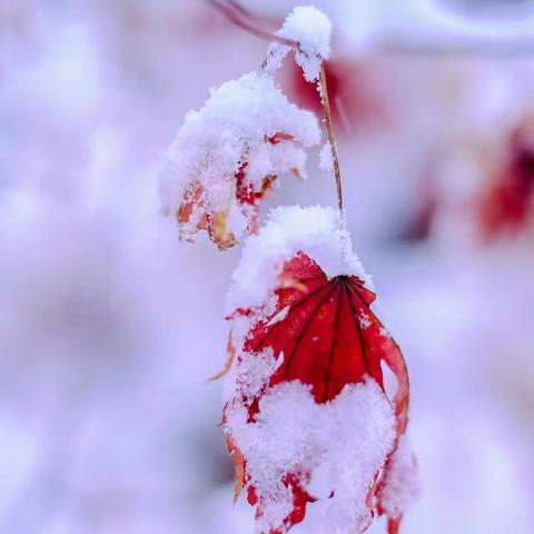 携童年之歌     赴冰雪之约——二道河小学冰雪运动