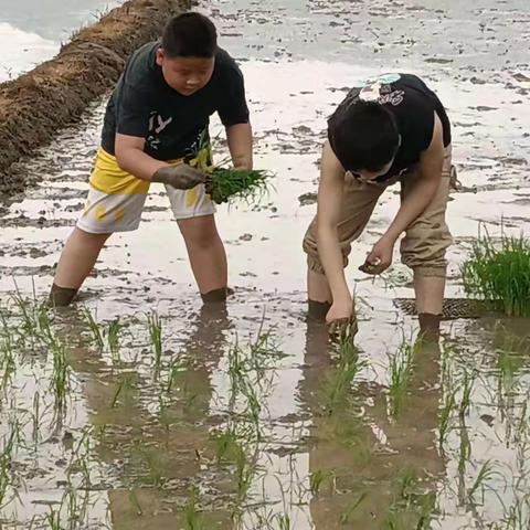 学农促成长  劳动最光荣   ——东山小学五年级开展学农社会实践活动纪实