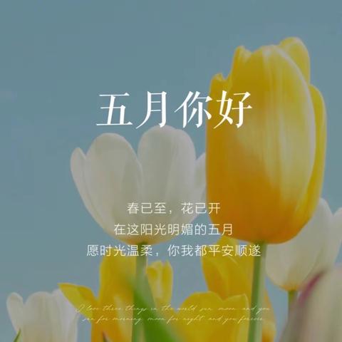 🌸温暖的五月，开启浪漫的夏季🌈