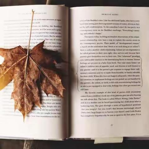 漫步世界名著花园，阅览精彩文字世界                         ——六年级单元共读情况总结