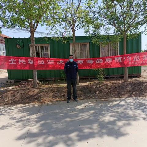 禁种铲毒    人人有责