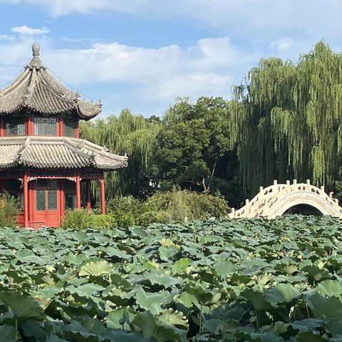 12月第一个周总结来咯