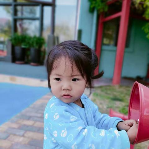 东方禾韵baby2班一周剪影