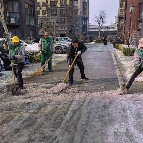 悦府物业|除雪保畅通  全员扫雪大行动