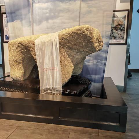 智慧科普，地质研学