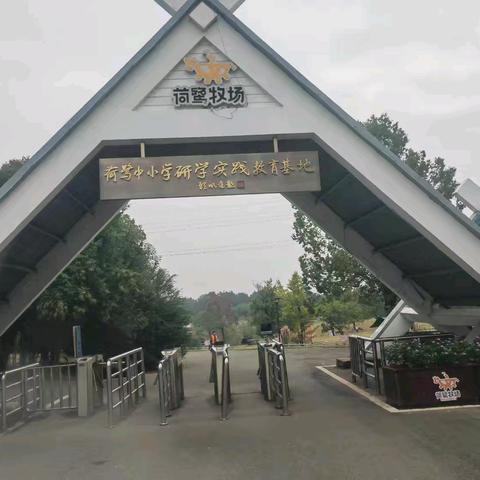 龙游县模环小学六（一）班——荷鹭牧场之旅