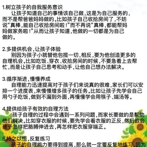 松树街大二班五月第四周💞精彩回顾（2024年5月27日—5月31日）