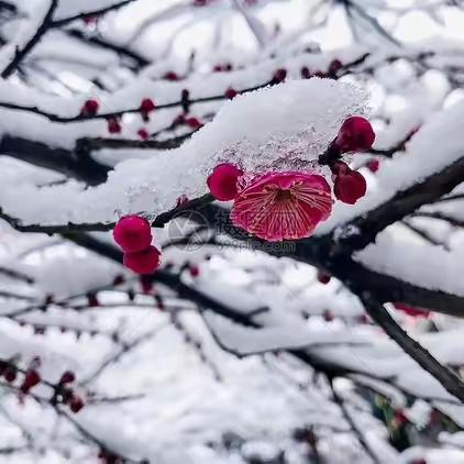 冰火两重天