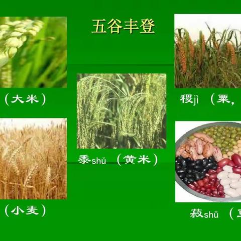 研学走进农科院 励志成为科学家