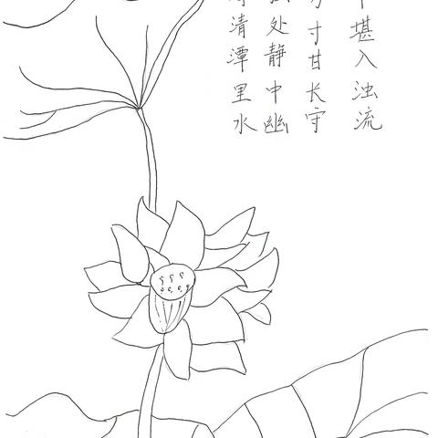 【团小·党建】：清廉学校 2024年度校园廉洁文化活动月