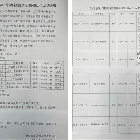 “跨”学科之美， “融”理念之行——沙沟小学跨学科主题课例展示活动