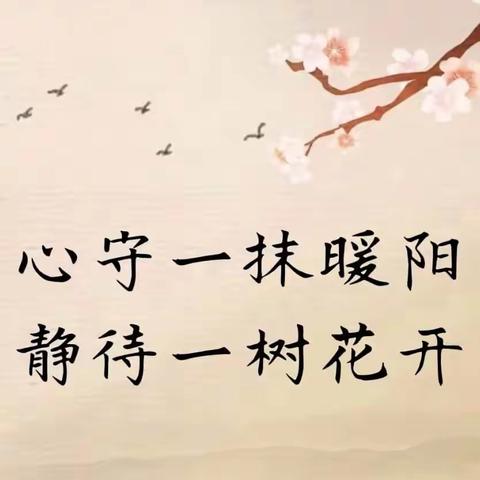 携一抹暖阳，韵染不变初心——中峪中心校2023—2024学年第一学期第十七周工作周刊