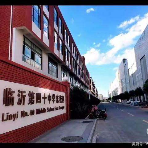 【和合四十·和润德育】从“心”出发，用“爱”守护—临沂第四十中学东校区心理健康培训活动纪实