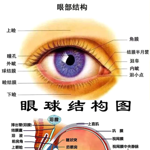 “保护眼睛👀从我做起”——市二幼教育集团（总园及分园）全国爱眼日主题活动