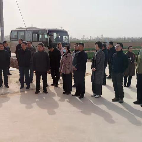 全国农技中心测报处处长曾娟一行现场观摩曲周植保监测点