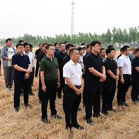 曲周县“绿色吨半粮”夏玉米播种正式启动