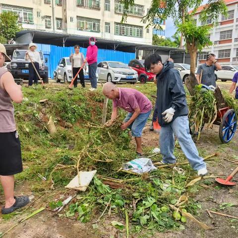 五指山市疾控中心:清理蚊媒孳生地，筑牢基孔肯雅热防火墙