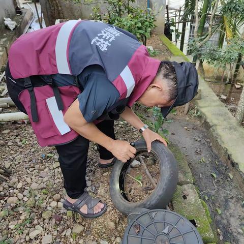 五指山市疾控中心开展防“两热”布雷图指数监测