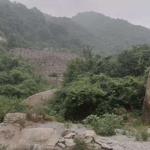 七律 .寻访鳔池村遇雨而归