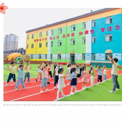 精英二班一周📅