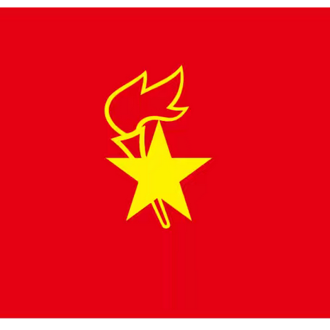 强国复兴有我 争当新时代好少年 ——儋州市八一中心小学建队日活动