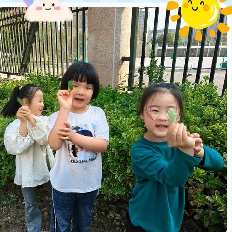 科学探索之旅：揭秘植物，畅享豌豆鲜香﻿✨东方之星幼教集团总园 ﻿大二班