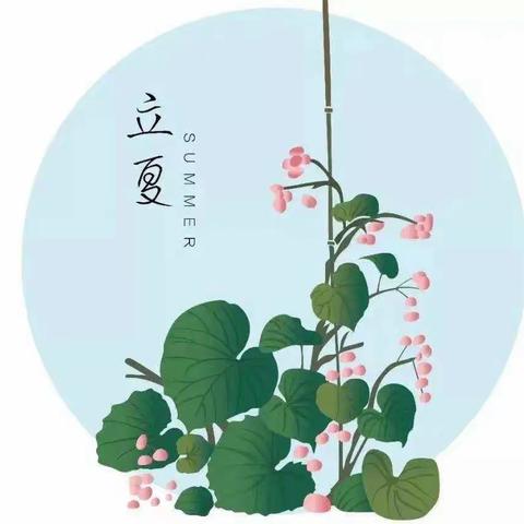 晴日暖风生麦气，绿阴幽草胜花时——立夏🌿