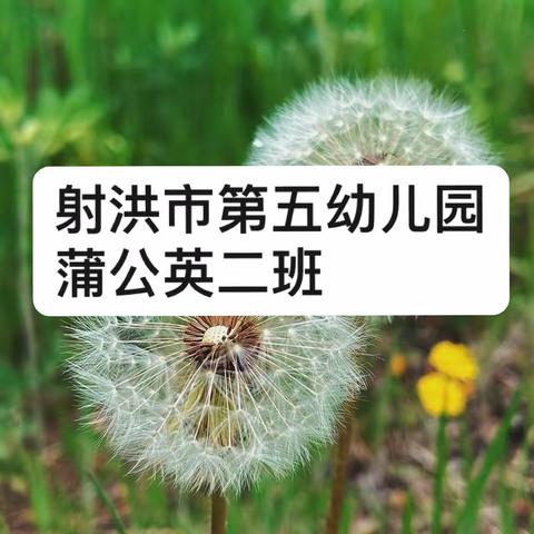 时光清浅，用爱陪伴