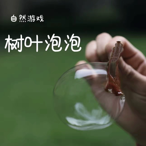 渝开附属幼儿园黄花中二班6月特色活动：科学《树叶🍃吹泡泡》