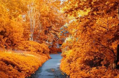 相约在秋季—桥北头小学“写秋，画秋，诵秋”活动