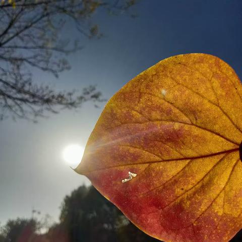 🍂遇见秋天