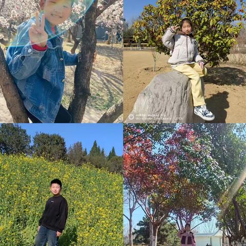 诗情画意  春光无限——博雅小学三年级语文学科活动