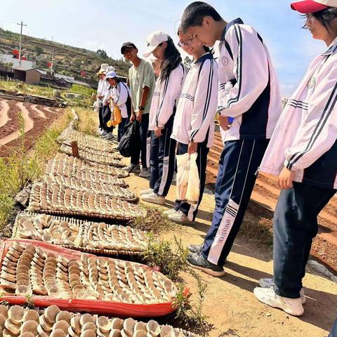 学非遗，践传承——刘厂中学七年级学生走入土碱基地寻非遗之美