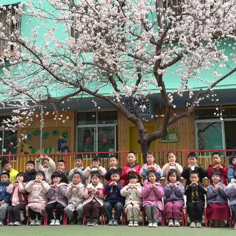 —🌿清明节🌿—— 🌸万物生长逢其时🍀 ⛰️人安康山河无恙💪 🌞人间最美四月天✨ 💕芳菲始盛正清明💖
