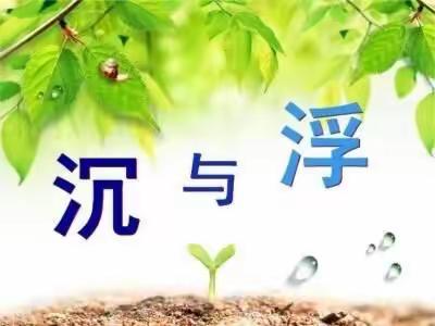 红果果幼儿园朝阳二班科学小实验——“沉与浮”