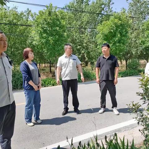 开展三夏护树督查，筑牢绿色生态屏障