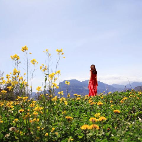 陌上花开缓缓归