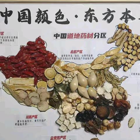 寻味药食同源，解密五色五味——三年级的中医药寒假之旅