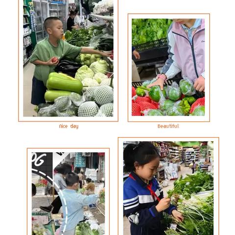 十岁逐光，责任同行  ‍当“家”小能手    护“绿”小卫士