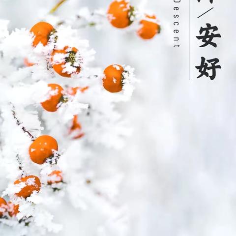 🍂时逢霜降至，童趣满深秋🍂—高新区幼儿园北园霜降节气