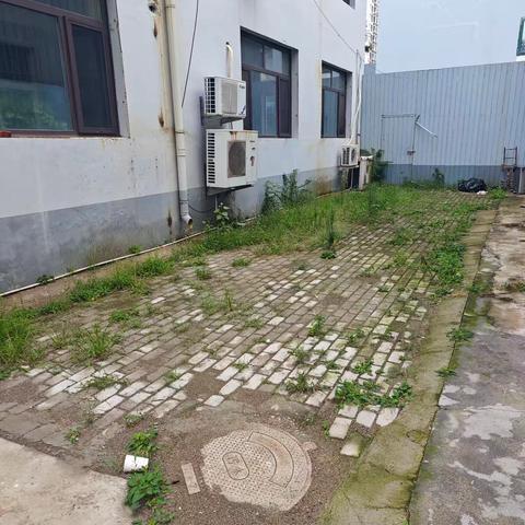 凝心聚力挥汗如雨 劳动淬炼奋进初心 ——市节水中心组织开展院内杂草清理劳动