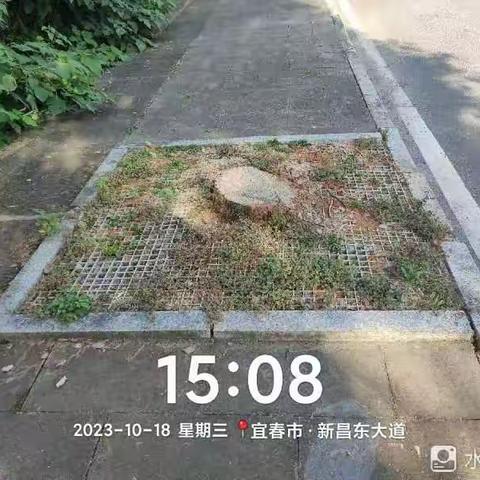 2023.10.21.宜丰宝政通公司清洗城区主干道人行道，辅道，公交站台，清洗主干道隔离护栏，高压清洗垃圾桶，清洗地面上油污，拔杂草，清理拆迁地杂物，清理牛皮癣……
