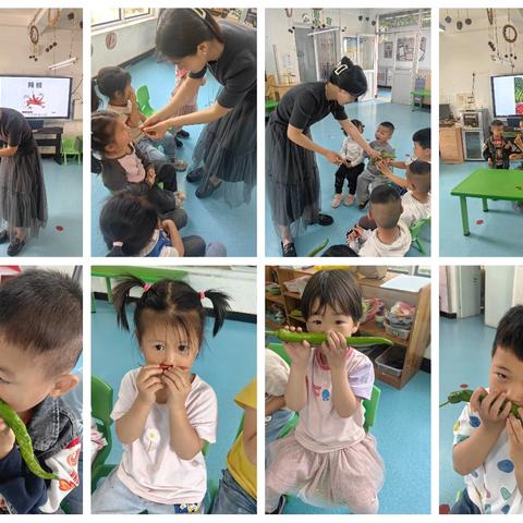 【趣“魏”农耕 乐享童年】魏寨街道中心幼儿园小班“辣么可爱”