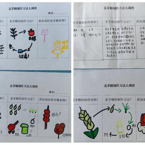 【趣“魏”农耕 乐享童年】魏寨街道中心幼儿园中班“麦向自然”班本课程—食苗篇