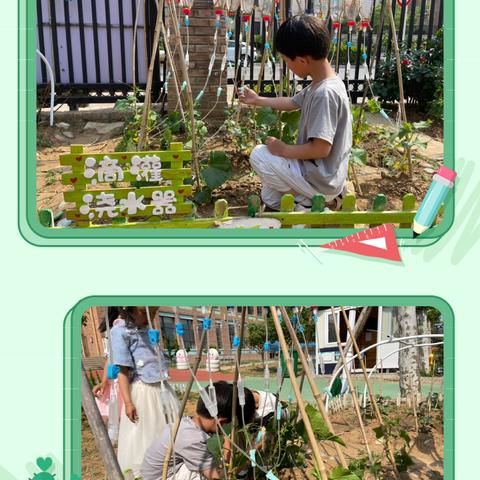 【课程故事】滴答中成长：小园丁智探浇水器———新城实验幼儿园大三班绿植课程